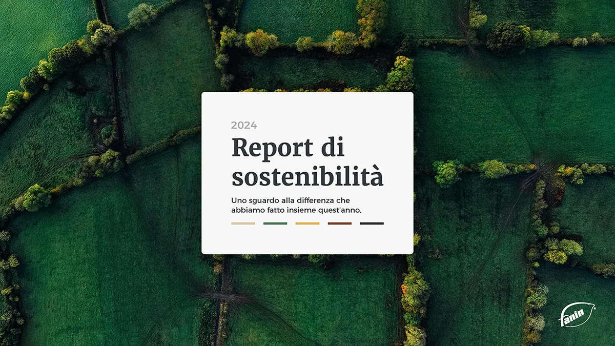 Report di sostenibilità 2024 Fanin Cover Report di sostenibilità 2024