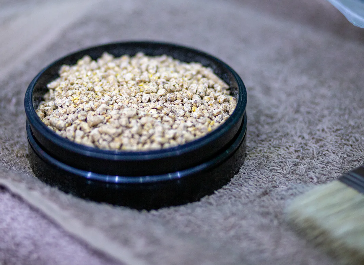 campione mangime animal feed sample