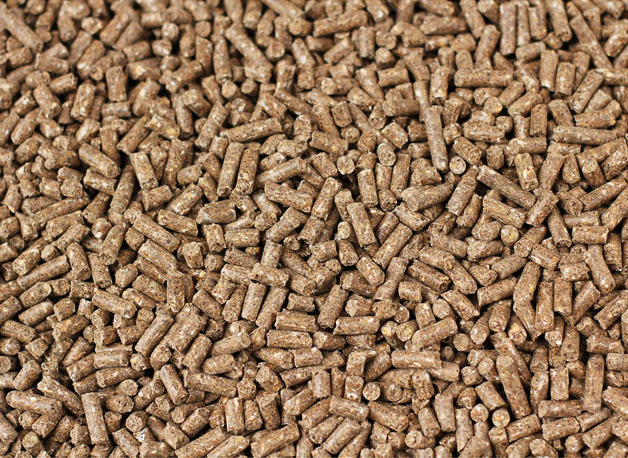 pellet feed