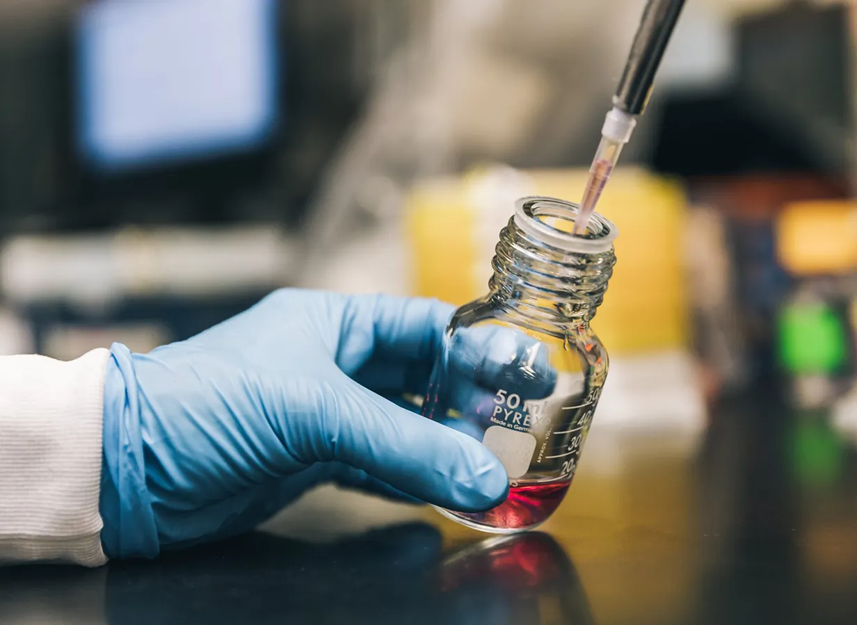 laboratorio